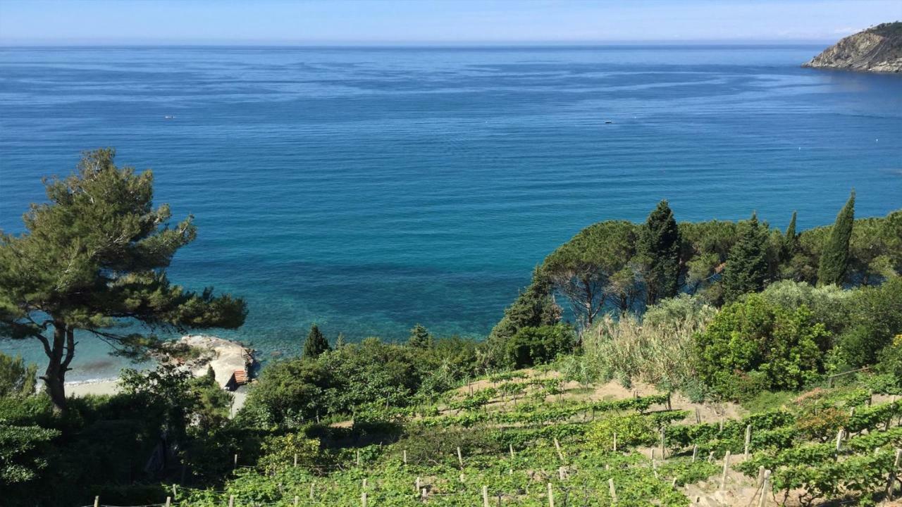 Appartamento A Moneglia, Tra Portofino E Le Cinque Terre المظهر الخارجي الصورة